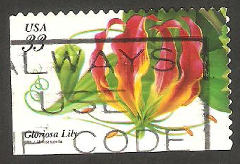 2886 - Flor gloriosa lily