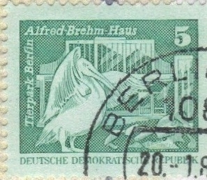 Zoo Alfred Breh, Belin