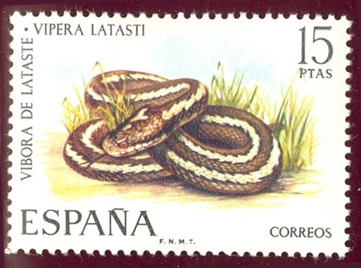 1974 Fauna Hispánica. Víbora de Lataste - Edifil:2196