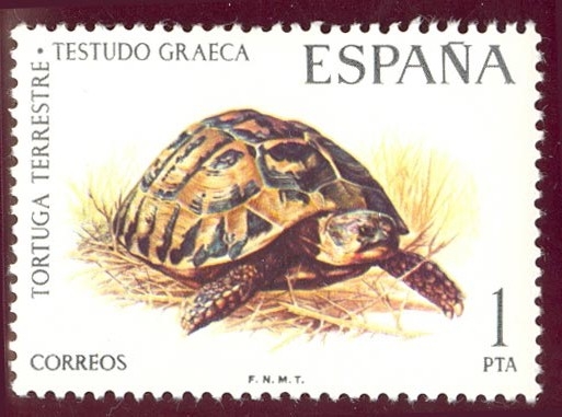 1974 Fauna Hispánica. Tortuga terrestre - Edifil:2192