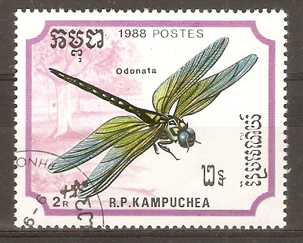 ODONATA