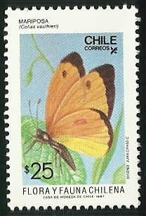 MARIPOSA - FLORA Y FAUNA DE CHILE