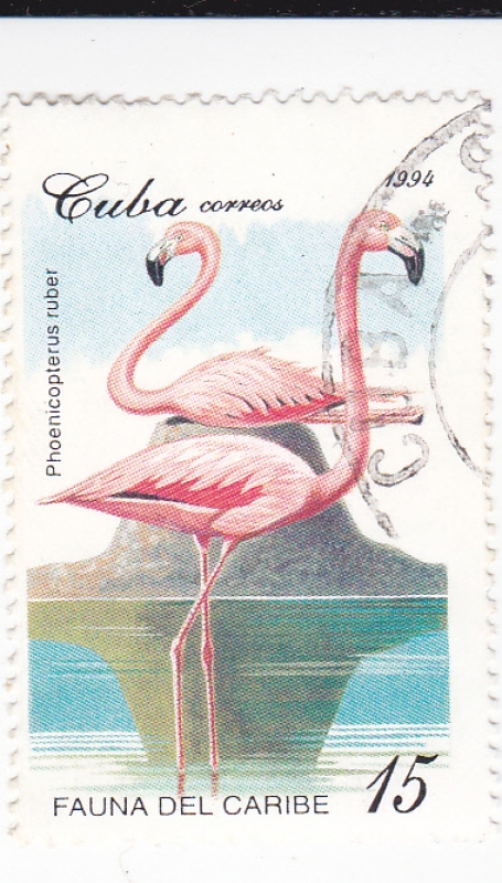 FAUNA DEL CARIBE