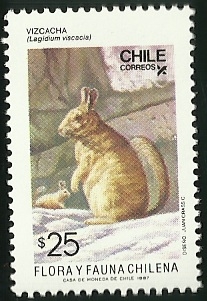 VIZCACHA - FLORA Y FAUNA DE CHILE