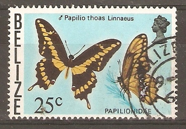 PAPILIO  THOAS  LINNAEUS