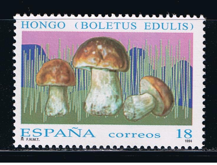 Edifil  3280  Micología.  