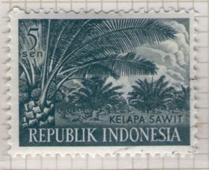 46 Kelapa Sawit