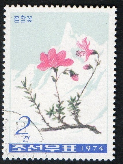 Mountain Flowers. 