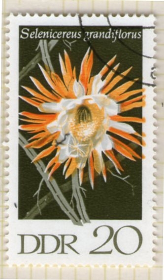 Rep. Democrática 39
