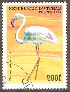 PHOENICOPTERUS  RUBER