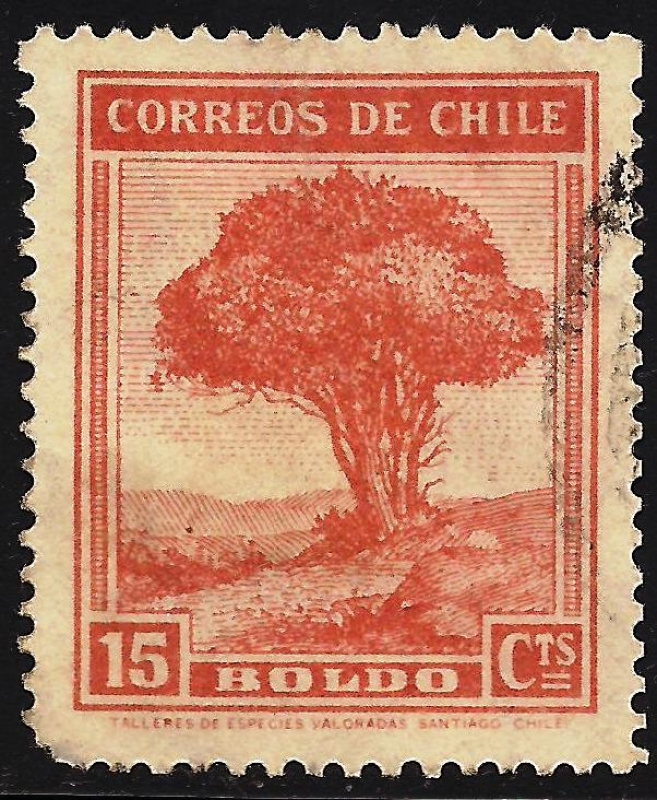 Árbol BOLDO.