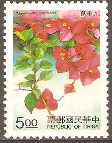 BOUGAINVILLEA  SPECTABILIS