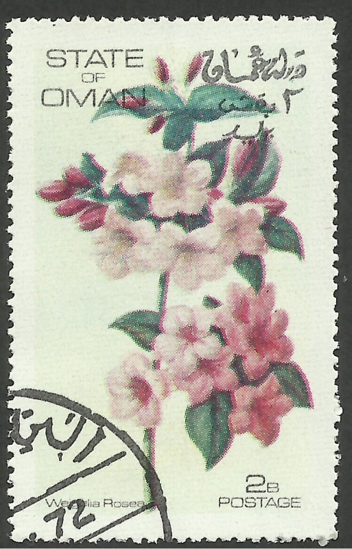 Flores, flora