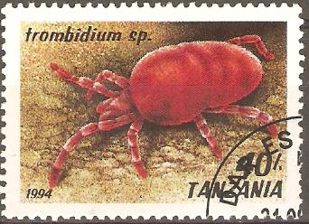 TROMBIDIUM