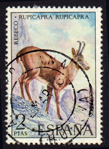 1972 Fauna Hispánica. Rebeco - Edifil:2103