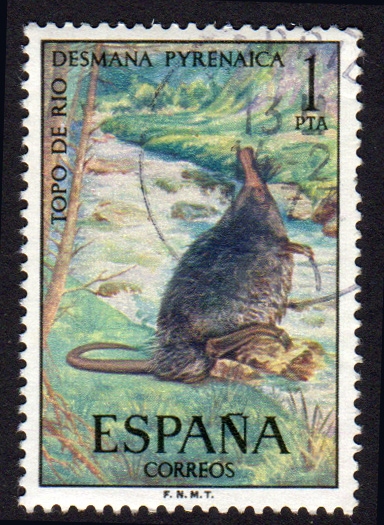 1972 Fauna Hispánica.Topo de agua - Edifil:2102