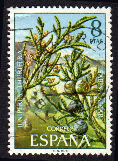 1972 Flora. Sabina Albar - Edifil:2089