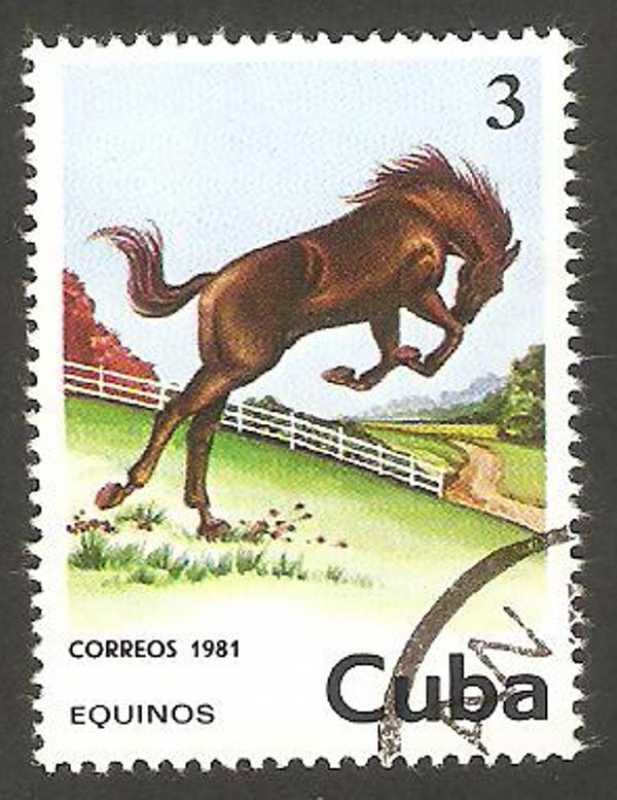 Caballo