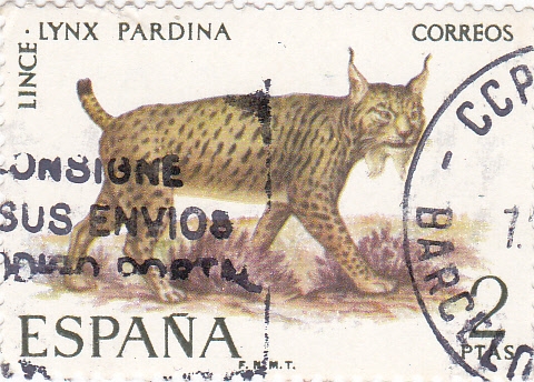 FAUNA- Lince      (W)