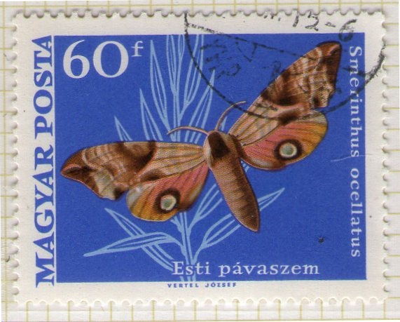 267 Mariposa