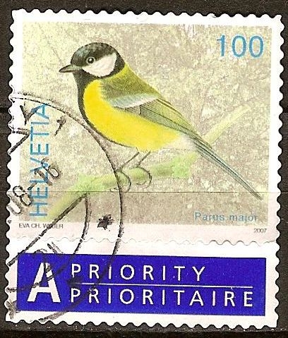 El carbonero común (Parus major).