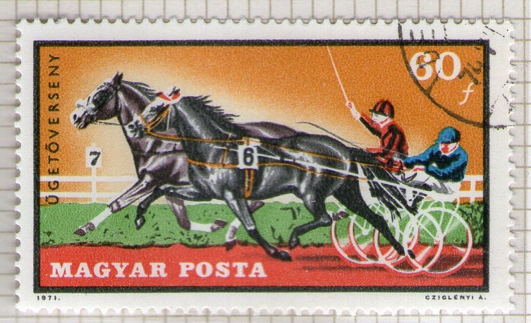 297 Carreras de caballos