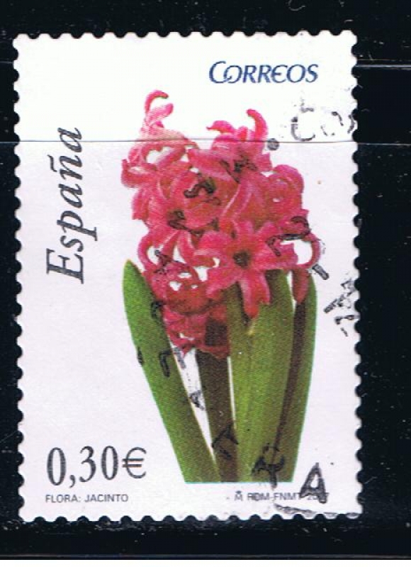 España  Flora y Fauna.  