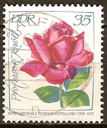 Exposición Internacional de Rosas.DDR 1972 Profesor Knoell - rosa roja.