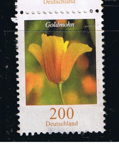 Goldmohn