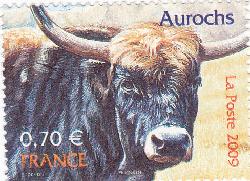 Aurochs