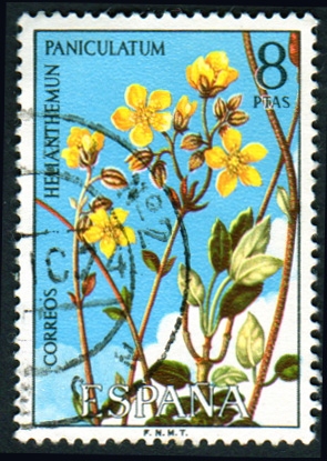 1974 Flora. Helianthemun paniculatum - Edifil:2224