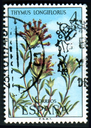 1974 Flora. Thymus longiflorus - Edifil:2222