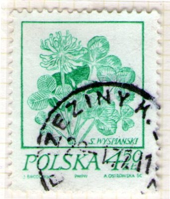 13 Flora