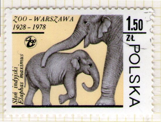 174 Zoo Warszawa