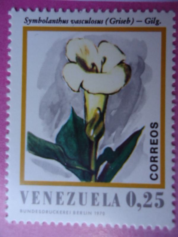 Flora Venezolana- SAymbolanthus vasculosus (Griseb)-Gilg