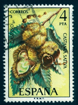 1975 Flora. Castaño - Edifil:2257