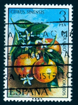 1975 Flora. Naranjo - Edifil:2256