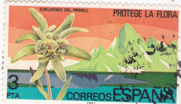 PROTEGE LA FLORA   (2)