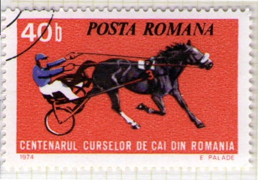 182 Carreras de caballos