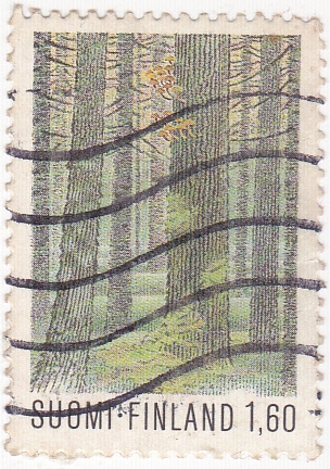 Bosque finlandés