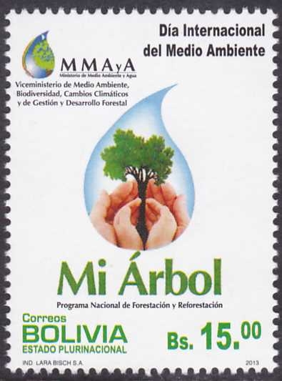 Día internacional del Medio Ambiente