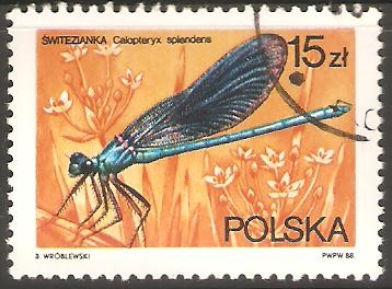 CALOPTERYX  SPLENDENS