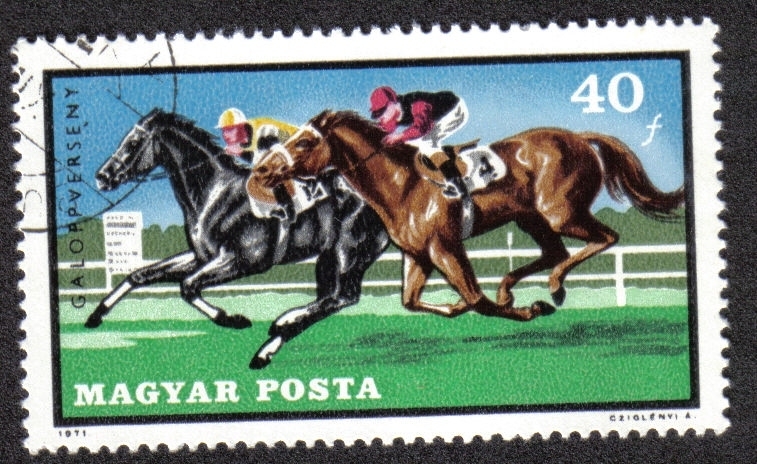 Caballos