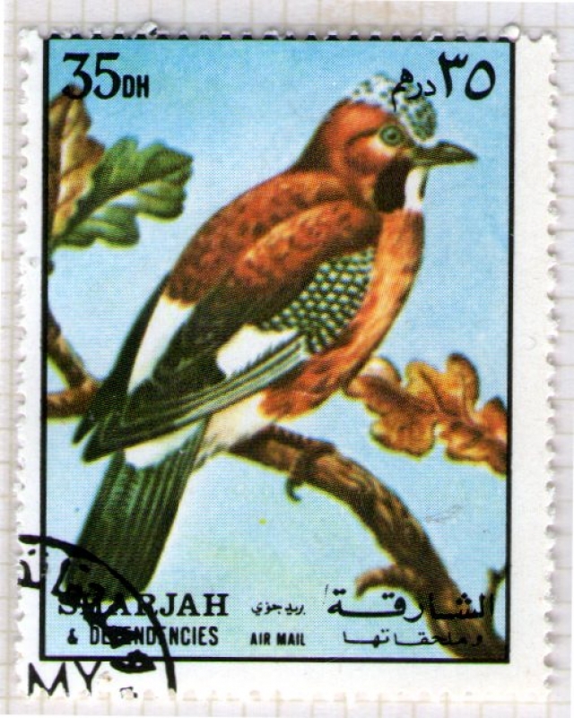 15  SHARJAH