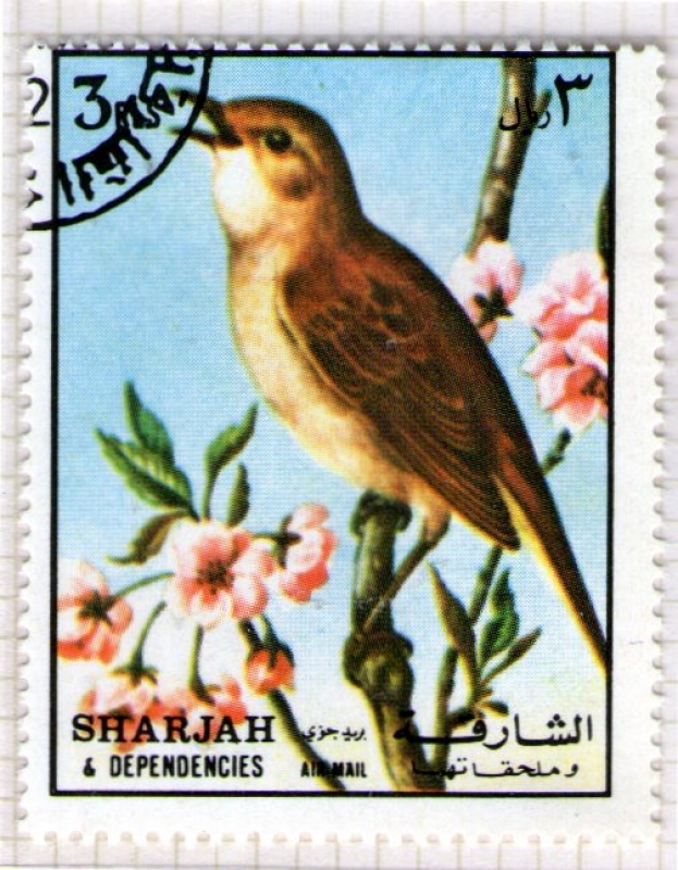 16  SHARJAH