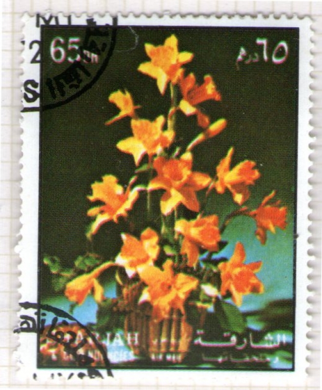 18  SHARJAH