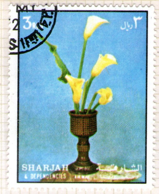 21  SHARJAH