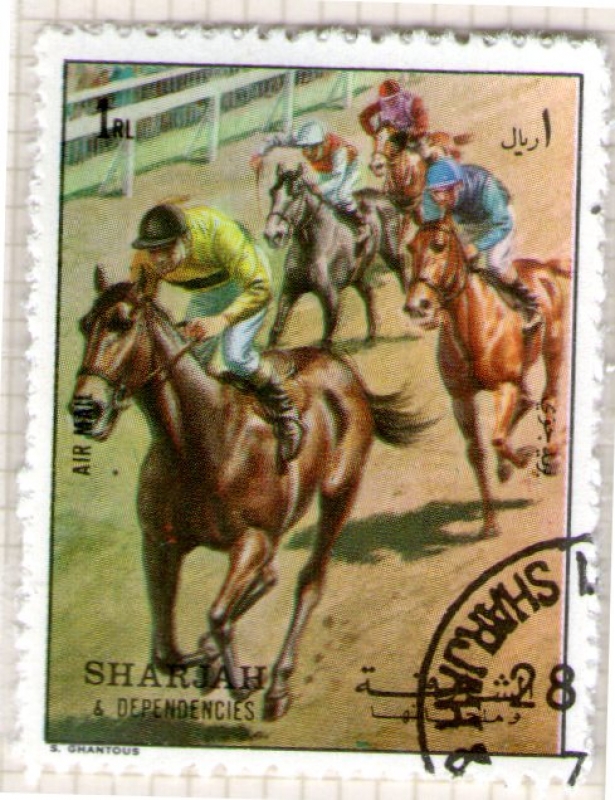 27  SHARJAH. Carreras de caballos