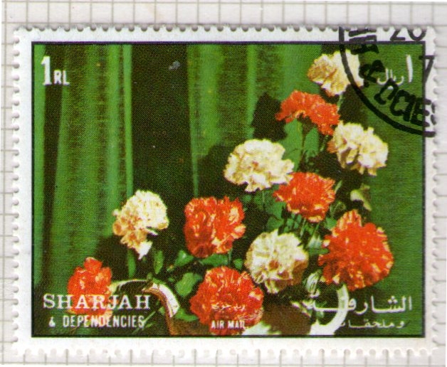 74  SHARJAH. Adorno floral