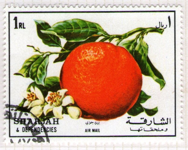 100  SHARJAH